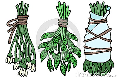 Bunch of dried herbs. Stock Photo